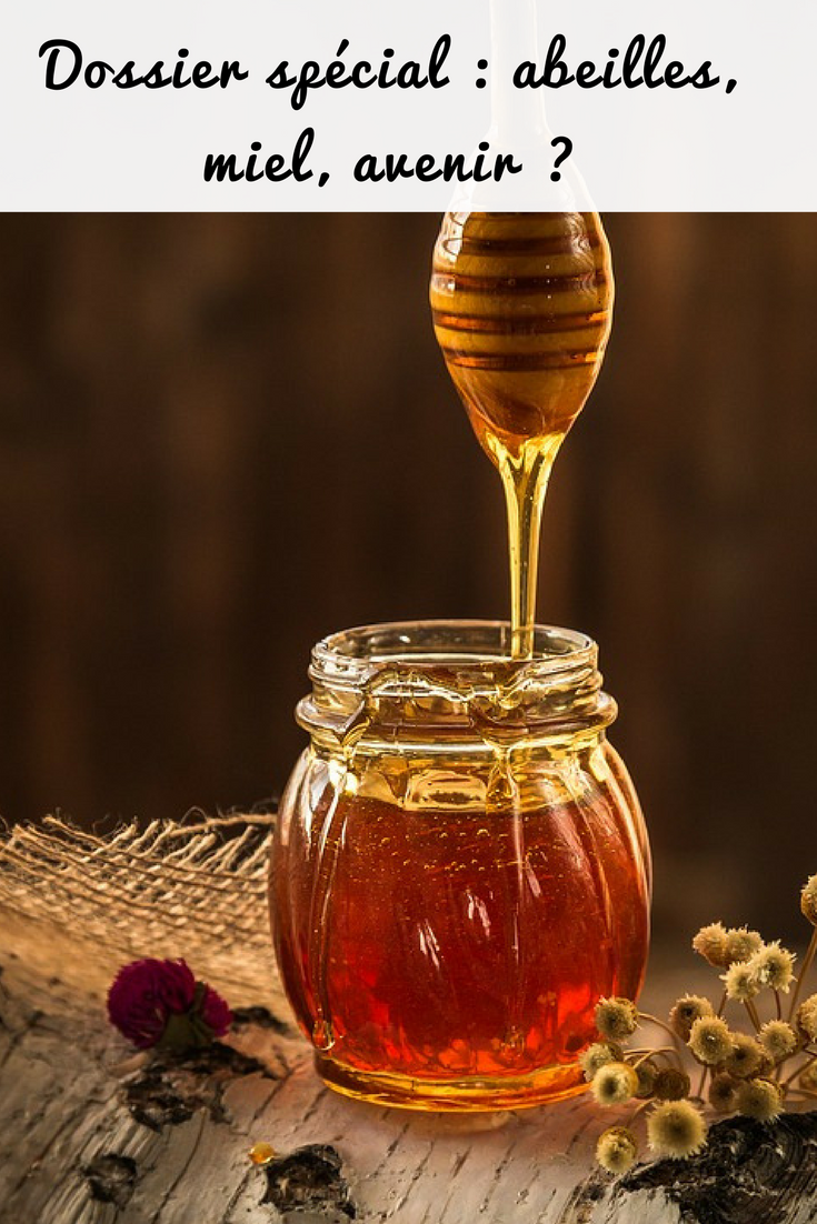 abeilles, miel, cire, avenir